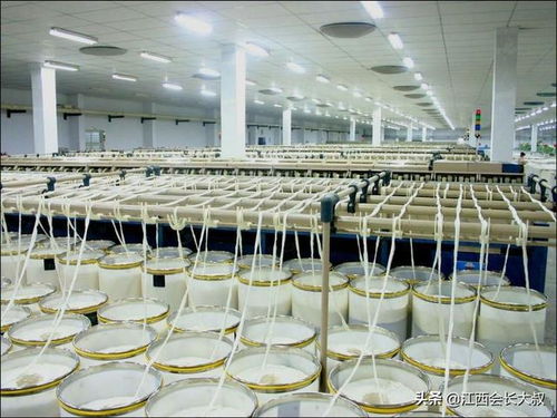 泰昌30年 從廠機(jī)聲到匠心布的傳承路